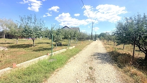 Teren de vânzare în Turcinești, 5 km de centrul municipiului Târgu Ji - imagine 14