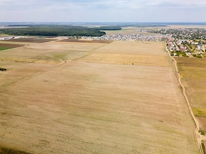 DASCALU - TEREN INTRAVILAN 7500 MP, INVESTITIE! - imagine 8
