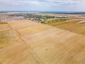 DASCALU - TEREN INTRAVILAN 7500 MP, INVESTITIE! - imagine 11