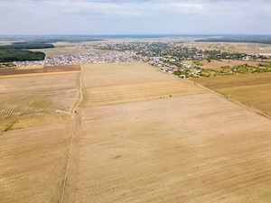 DASCALU - TEREN INTRAVILAN 7500 MP, INVESTITIE! - imagine 10