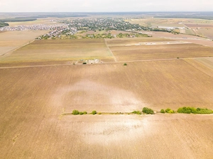 DASCALU – TEREN INTRAVILAN 11300 MP, INVESTITIE!  - imagine 10