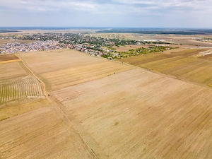 DASCALU - TEREN INTRAVILAN 7500 MP, INVESTITIE! - imagine 12