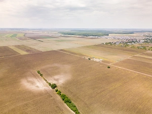 DASCALU – TEREN INTRAVILAN 11300 MP, INVESTITIE!  - imagine 14