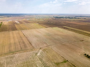 DASCALU - TEREN INTRAVILAN 7500 MP, INVESTITIE! - imagine 15