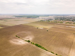 DASCALU – TEREN INTRAVILAN 11300 MP, INVESTITIE!  - imagine 13