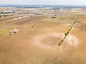 DASCALU – TEREN INTRAVILAN 11300 MP, INVESTITIE!  - imagine 8