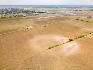 DASCALU – TEREN INTRAVILAN 11300 MP, INVESTITIE!  - imagine 9