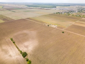 DASCALU – TEREN INTRAVILAN 11300 MP, INVESTITIE!  - imagine 15