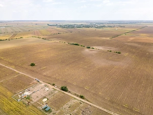 DASCALU – TEREN INTRAVILAN 11300 MP, INVESTITIE!  - imagine 5