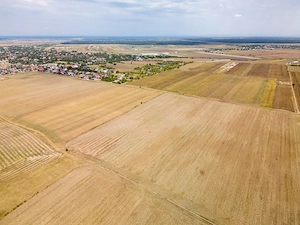 DASCALU - TEREN INTRAVILAN 7500 MP, INVESTITIE! - imagine 13