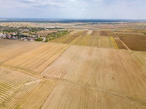 DASCALU - TEREN INTRAVILAN 7500 MP, INVESTITIE! - imagine 14