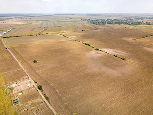 DASCALU – TEREN INTRAVILAN 11300 MP, INVESTITIE!  - imagine 6