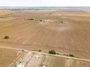 DASCALU – TEREN INTRAVILAN 11300 MP, INVESTITIE!  - imagine 3