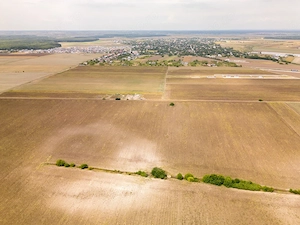 DASCALU – TEREN INTRAVILAN 11300 MP, INVESTITIE!  - imagine 11