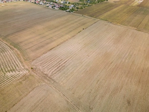 DASCALU - TEREN INTRAVILAN 7500 MP, INVESTITIE! - imagine 16