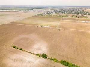DASCALU – TEREN INTRAVILAN 11300 MP, INVESTITIE!  - imagine 17