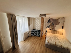 Apartament  cu 1 camera de inchiriat pe Take Ionescu