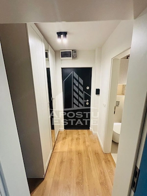 Apartament  cu 1 camera de inchiriat pe Take Ionescu - imagine 8