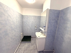 Spatiu Comercial str. Ecaterina Teodoroiu 77 mp - imagine 7