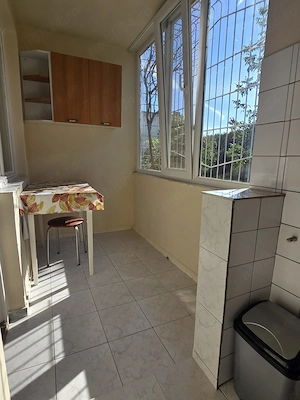 Apartament 1 camera Sagului Brancoveanu parter cu balcon amenajat mobilat utilat - imagine 10