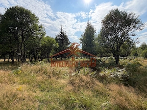 Teren extravilan in zona turistica Sambata de Sus/Dragus - imagine 3