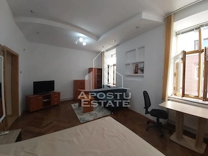 Apartament cu 1 camera in Piata Unirii Timisoara