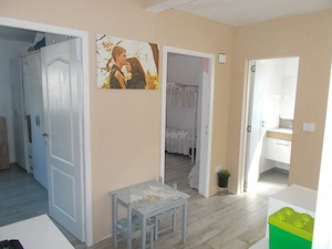 Casa individuala, parter, Dudestii Noi, 4 camere, teren 880mp, mobilata, utilata. - imagine 14