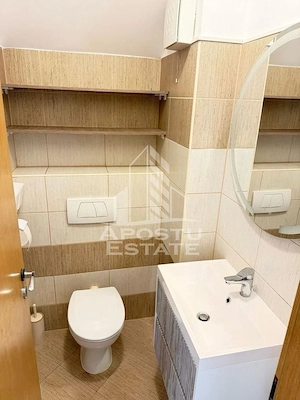 Apartament cu 3 camere de închiriat calea torontalului - imagine 10