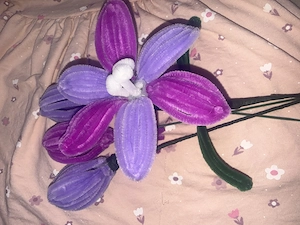 Realizez buchete de Flori sârmă plușată 