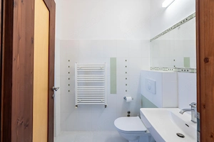 Casa Individuala Braytim/Musicescu - imagine 13