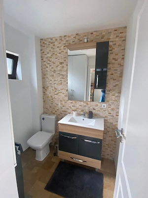 Vila superba de inchiriat, Dealul cu Tei, Doicesti - 650euro - imagine 10