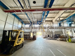 Spațiu industrial de închiriat | Pantelimon - imagine 5