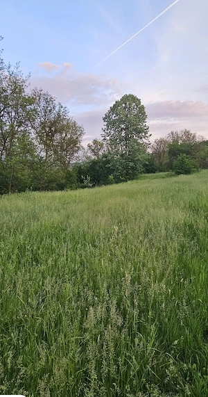 Vând 1500mp INTRAVILAN cu utilități la drum  Ariceștii Zeletin cu vedere panoramică și parcelabil - imagine 4