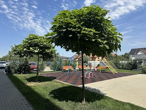 Proprietar Apartament Studio Kara Residence - Zona Aradului (British School Babel) - imagine 10