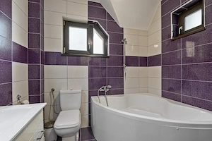 Proprietar vand vila in Comuna Berceni |  5 Camere | 500 mp Teren | Constructie Solida | Garaj - imagine 6