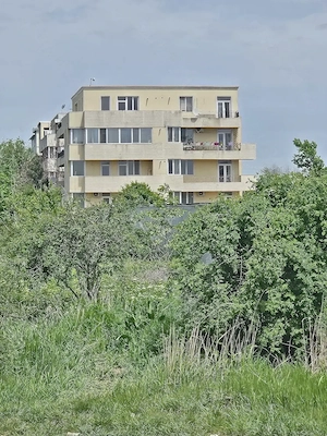 Vand teren intravilan 8 000 mp Domnești 
