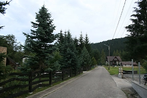 Teren intravelan premium 13841 mp- valea putnei, bucovina(lînga bio valeputna)