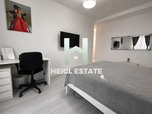 Apartament cu o camera , bucătărie închisă, terasa de 45 mp, Giroc - imagine 3