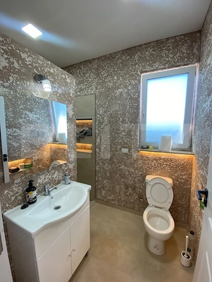 Duplex superb pe parter 3 camere 250 mp teren Bucovat - imagine 8