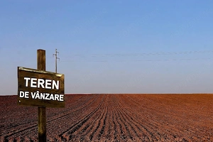 1.000 Ha Campia Baraganului, Braila