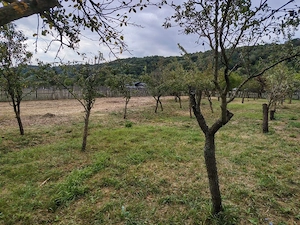 Vânzare casă + 2.250 mp teren | Drăganu, Argeș | strada principală | Proprietar - imagine 4