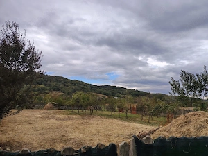 Vânzare casă + 2.250 mp teren | Drăganu, Argeș | strada principală | Proprietar - imagine 5
