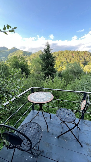 Cabana   Pensiune   Vila retrasa cu ciubar la munte Gura Teghii Varlaam Buzau 6 camere 4 bai 300mp - imagine 3