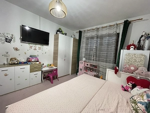 Proprietar vand casa cu teren in vatra satului Sacalaz - imagine 3