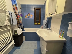 Proprietar vand casa cu teren in vatra satului Sacalaz - imagine 10