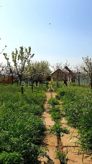 Casa cu teren 1200 mp situata in Localitatea Mihai Kogalniceanu - imagine 14