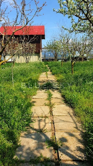 Casa cu teren 1200 mp situata in Localitatea Mihai Kogalniceanu - imagine 12