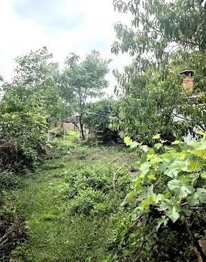 Teren cu casă demolabilă sau renovabila în Valu lui Traian, pe Calea Dobrogei - imagine 4
