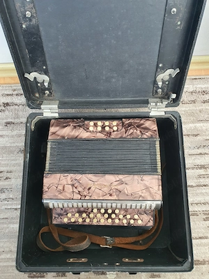 Mini armonica acordeon Diatonic HOHNER Erica Vintage cu Nasturi + Cutie Originala