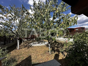 Casa de vanzare cu 5 camere si teren 426 mp 2 fronturi Arhitectilor - imagine 9